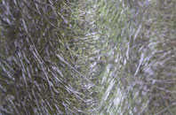 Farleigh Wick fibreglass roof work